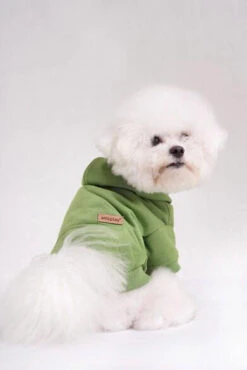 AMIPLAY Sweat-shirt à Capuche Texas Noir 40cm -Chien Fournitures Boutique fre pl AMIPLAY Sweat shirt a capuche Texas noir 40cm 28481 5