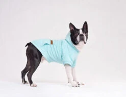 AMIPLAY Sweat-shirt à Capuche Texas Noir 45cm -Chien Fournitures Boutique fre pl AMIPLAY Sweat shirt a capuche Texas noir 45cm 28482 3