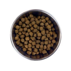 Barking Heads Bœuf Waggington Pour Tous Les Chiens Adultes 12kg -Chien Fournitures Boutique fre pl Barking Heads Boeuf Waggington pour tous les chiens adultes 12kg 28633 3