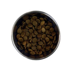 Barking Heads Doggylicious Canard Pour Tous Les Chiens Adultes 12kg -Chien Fournitures Boutique fre pl Barking Heads Doggylicious Canard pour tous les chiens adultes 12kg 28624 3