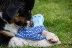 CoolPets Ice PINGWIN Pour Chiens -Chien Fournitures Boutique fre pl CoolPets Ice PINGWIN pour chiens 30501 5