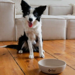 DINGO- Bol Antidérapant En Fibre De Bambou - 1500ml 11 DINGO- Bol Antidérapant En Fibre De Bambou - 1500ml -Chien Fournitures Boutique fre pl DINGO Bol antiderapant en fibre de bambou 1500ml 29828 4