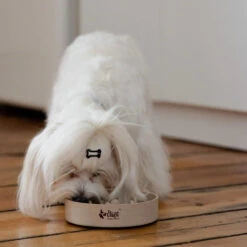 DINGO- Bol Lent En Fibre De Bambou- 1430 Ml 8 DINGO- Bol Lent En Fibre De Bambou- 1430 Ml -Chien Fournitures Boutique fre pl DINGO bol lent en fibre de bambou 1430 ml 29823 3