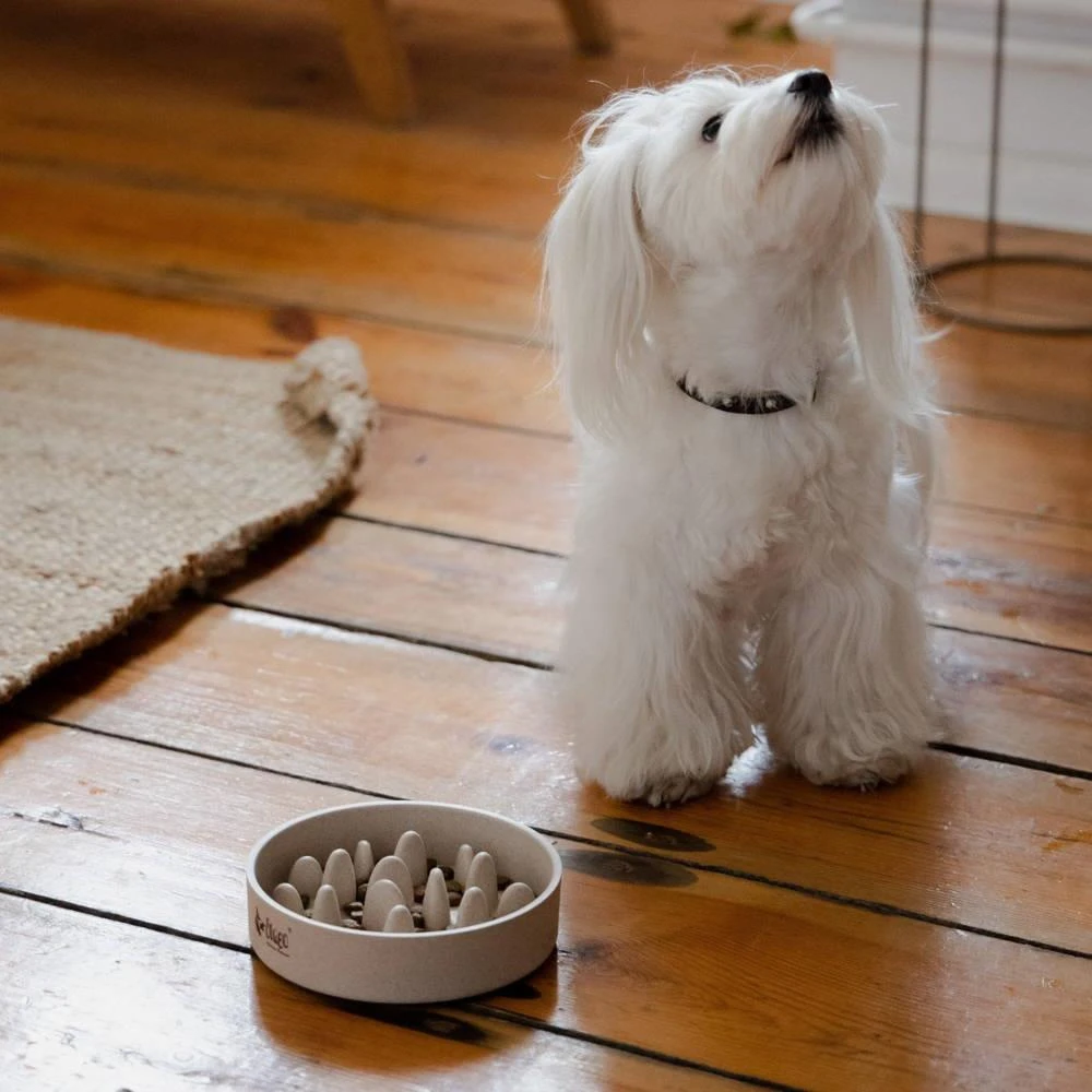 DINGO- Bol Lent En Fibre De Bambou- 1430 Ml 6 DINGO- Bol Lent En Fibre De Bambou- 1430 Ml – Image 4