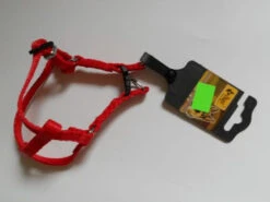 Dingo Basic Harnais Type Step-In Avec Sangle Pour Chiens Rouge Taille 50 -Chien Fournitures Boutique fre pl Dingo Basic harnais Type Step In avec sangle pour chiens Rouge Taille 50 16776 3