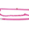 Dingo Laisse Avec Amortisseur Et Poignée Rose 170cm -Chien Fournitures Boutique fre pl Dingo Laisse avec amortisseur et poignee Rose 170cm 8866 1
