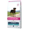 EUKANUBA Breed Specific Rottweiler 12kg + Surprise Gratuite Pour Votre Chien -Chien Fournitures Boutique fre pl EUKANUBA Breed Specific Rottweiler 12kg Surprise gratuite pour votre chien 27334 1