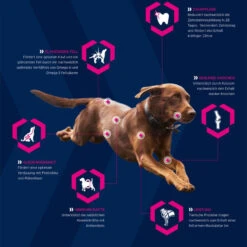 EUKANUBA Breed Specific Rottweiler 12kg + Surprise Gratuite Pour Votre Chien 12 EUKANUBA Breed Specific Rottweiler 12kg + Surprise Gratuite Pour Votre Chien -Chien Fournitures Boutique fre pl EUKANUBA Breed Specific Rottweiler 12kg Surprise gratuite pour votre chien 27334 5