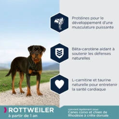 EUKANUBA Breed Specific Rottweiler 12kg+ Surprise Gratuite Pour Votre Chien -Chien Fournitures Boutique fre pl EUKANUBA Breed Specific Rottweiler 12kg Surprise gratuite pour votre chien 27363 4