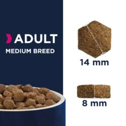 Eukanuba Adult Medium Breed Poulet 15kg+ Surprise Gratuite Pour Votre Chien -Chien Fournitures Boutique fre pl Eukanuba Adult Medium Breed poulet 15kg Surprise Gratuite pour votre chien 27343 4