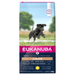 Chien Fournitures Boutique -Chien Fournitures Boutique fre pl Eukanuba Puppy Junior Large Breed 15kg 15270 1