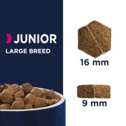Eukanuba Puppy&Junior Large Breed 15kg+Surprise Gratuite Pour Votre Chien -Chien Fournitures Boutique fre pl Eukanuba Puppy Junior Large Breed 15kg Surprise gratuite pour votre chien 27321 4