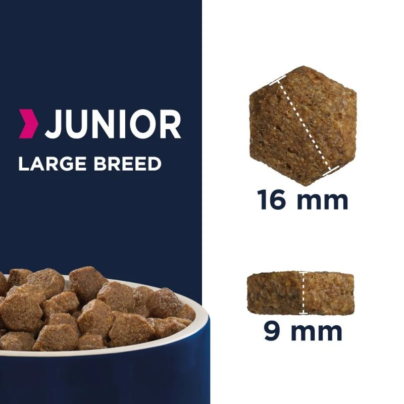 Eukanuba Puppy&Junior Large Breed 15kg+ Surprise Gratuite Pour Votre Chien 6 Eukanuba Puppy&Junior Large Breed 15kg+ Surprise Gratuite Pour Votre Chien – Image 4