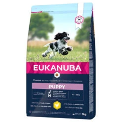 Eukanuba Puppy&Junior Medium Breed 15kg+Surprise Gratuite Pour Votre Chien -Chien Fournitures Boutique fre pl Eukanuba Puppy Junior Medium Breed 15kg Surprise gratuite pour votre chien 27320 4