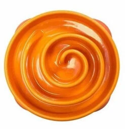 FUN FEEDER -Mini Bowl Pour Ralentir La Consommation D'orange