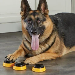 Hunger For Words TALKING PET NEXT WORDS NAMES 12 Hunger For Words TALKING PET NEXT WORDS NAMES -Chien Fournitures Boutique fre pl Hunger for Words TALKING PET NEXT WORDS NAMES 29733 5