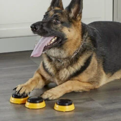 Hunger For Words TALKING PET NEXT WORDS NAMES 13 Hunger For Words TALKING PET NEXT WORDS NAMES -Chien Fournitures Boutique fre pl Hunger for Words TALKING PET NEXT WORDS NAMES 29733 6