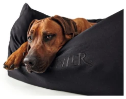 Hunter Gent Sofa Antibactérien Pour Chiens Noir Taille S -Chien Fournitures Boutique fre pl Hunter Gent Sofa antibacterien pour chiens Noir Taille S 16605 2