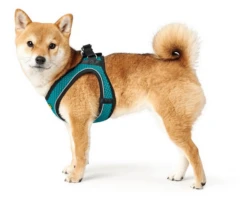 Hunter Hilo Comfort Harnais Pour Chien Turquoise Taille M/L -Chien Fournitures Boutique fre pl Hunter Hilo Comfort Harnais pour chien Turquoise Taille M L 12618 3