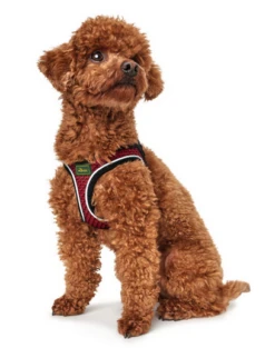 Hunter Hilo Comfort Harnais Pour Chien Rouge Taille XXS -Chien Fournitures Boutique fre pl Hunter Hilo Comfort Harnais pour chien rouge Taille XXS 16641 3