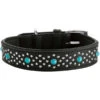 Hunter Madona Collier De Chien En Cuir S- 45 Cm