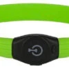 KERBL Collier Lumineux Pour Chien à Poils Longs Vert 65cm