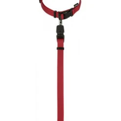 KERBL GoLeyGo 2.0 Ensemble Laisse + Collier Rouge Pour Chien 10mm X 29-45cm, S -Chien Fournitures Boutique fre pl KERBL GoLeyGo 2 0 Ensemble laisse collier Rouge pour Chien 10mm x 29 45cm S 12875 3