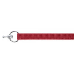 KERBL GoLeyGo 2.0 Ensemble Laisse + Collier Rouge Pour Chien 10mm X 29-45cm, S -Chien Fournitures Boutique fre pl KERBL GoLeyGo 2 0 Ensemble laisse collier Rouge pour Chien 10mm x 29 45cm S 12875 4
