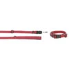 KERBL GoLeyGo 2.0 Ensemble Laisse + Collier Rouge Pour Chien 20mm X 40-65cm, M -Chien Fournitures Boutique fre pl KERBL GoLeyGo 2 0 Ensemble laisse collier Rouge pour Chien 20mm x 40 65cm M 12878 1