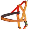 KERBL Harnais Réfléchissant Norvégien 40cm -Chien Fournitures Boutique fre pl KERBL Harnais reflechissant Norvegien 40cm 24666 1