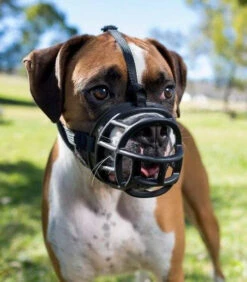 Muselière Baskerville Ultra 2 NOIR -Chien Fournitures Boutique fre pl Museliere Baskerville Ultra 2 NOIR 26252 2