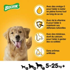 Pedigree Biscrok Biscuits Pour Chiens Adultes Sous Forme De Petits Os Avec De L'agneau, Du Poulet Et Du Bœuf 200g X2 -Chien Fournitures Boutique fre pl Pedigree Biscrok Biscuits Pour chiens adultes sous forme de petits os avec de lagneau du poulet et du boeuf 200g x2 30141 2