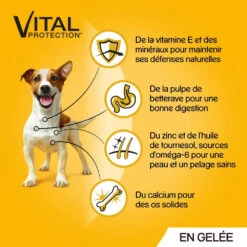 Pedigree Croquettes Humides En Gelée Pour Chiens Adultes Avec Boeuf, Poulet, Agneau, Volaille 12x100g -Chien Fournitures Boutique fre pl Pedigree Croquettes humides en gelee pour chiens adultes avec boeuf poulet agneau volaille 12x100g 9891 3