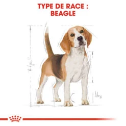 ROYAL CANIN Beagle Adult 12kg -Chien Fournitures Boutique fre pl ROYAL CANIN Beagle Adult 12kg 16915 6