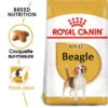 ROYAL CANIN Beagle Adult 12kg X2 -Chien Fournitures Boutique fre pl ROYAL CANIN Beagle Adult 12kg x2 30601 1