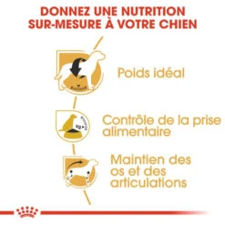 ROYAL CANIN Beagle Adult 12kg X2 -Chien Fournitures Boutique fre pl ROYAL CANIN Beagle Adult 12kg x2 30601 4