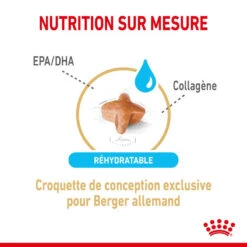 ROYAL CANIN Berger Allemand Adult 5+ 3kg -Chien Fournitures Boutique fre pl ROYAL CANIN Berger Allemand Adult 5 3kg 12524 3
