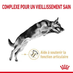 ROYAL CANIN Berger Allemand Adult 5+ 3kg -Chien Fournitures Boutique fre pl ROYAL CANIN Berger Allemand Adult 5 3kg 12524 6