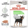 ROYAL CANIN CCN Digestive Care Pâté 12x85g -Chien Fournitures Boutique fre pl ROYAL CANIN CCN Digestive Care Pate 12x85g 10093 1