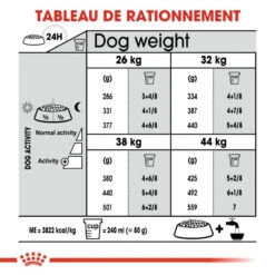 ROYAL CANIN CCN Maxi Dental Care 9kg -Chien Fournitures Boutique fre pl ROYAL CANIN CCN Maxi Dental Care 9kg 10068 6