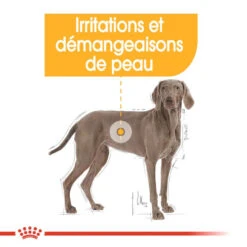 ROYAL CANIN CCN Maxi Dermacomfort 3kg -Chien Fournitures Boutique fre pl ROYAL CANIN CCN Maxi Dermacomfort 3kg 16272 7