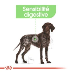 ROYAL CANIN CCN Maxi Digestive Care 3kg -Chien Fournitures Boutique fre pl ROYAL CANIN CCN Maxi Digestive Care 3kg 10070 7