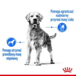 ROYAL CANIN CCN Maxi Light Weight Care 12kg -Chien Fournitures Boutique fre pl ROYAL CANIN CCN Maxi Light Weight Care 12kg 25857 4