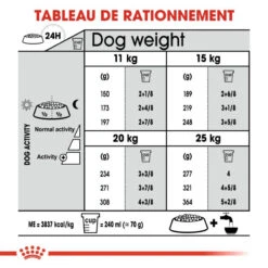 ROYAL CANIN CCN Medium Dental Care 10kg -Chien Fournitures Boutique fre pl ROYAL CANIN CCN Medium Dental Care 10kg 10074 6