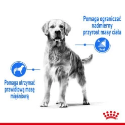 ROYAL CANIN CCN Medium Light Weight Care 12kg Nourriture Sèche Pour Chiens Adultes, Races Moyennes Sujettes à L'embonpoint -Chien Fournitures Boutique fre pl ROYAL CANIN CCN Medium Light Weight Care 12kg nourriture seche pour chiens adultes races moyennes sujettes a lembonpoint 26050 4