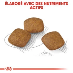 ROYAL CANIN CCN Medium Relax Care 1kg -Chien Fournitures Boutique fre pl ROYAL CANIN CCN Medium Relax Care 1kg 16278 3