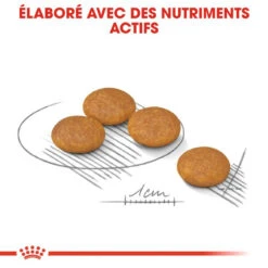 ROYAL CANIN CCN Mini Dermacomfort 1kg + OVER ZOO Délicatesse 100g -Chien Fournitures Boutique fre pl ROYAL CANIN CCN Mini Dermacomfort 1kg OVER ZOO Delicatesse 100g 30805 3
