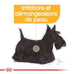 ROYAL CANIN CCN Mini Dermacomfort 1kg + OVER ZOO Délicatesse 100g -Chien Fournitures Boutique fre pl ROYAL CANIN CCN Mini Dermacomfort 1kg OVER ZOO Delicatesse 100g 30805 8