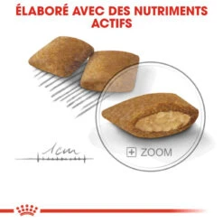 ROYAL CANIN CCN Mini Exigent 1kg -Chien Fournitures Boutique fre pl ROYAL CANIN CCN Mini Exigent 1kg 10052 6