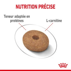 ROYAL CANIN CCN Mini Light Weight Care 1kg +OVER ZOO Délicatesse 100g GRATUIT -Chien Fournitures Boutique fre pl ROYAL CANIN CCN Mini Light Weight Care 1kg OVER ZOO Delicatesse 100g GRATUIT 30801 6
